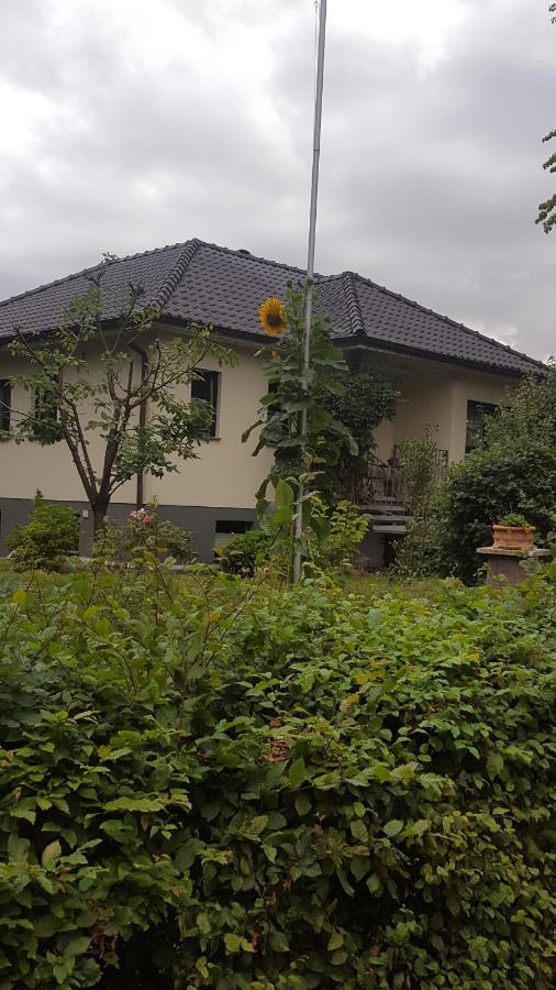 פוטבוס Ferienwohnung "Am Fechtertor- Eingang Zum Schlosspark" מראה חיצוני תמונה